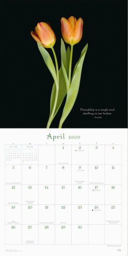 Flowers, A Universe Revealed 2009 Wall Calendar under Flowers in The Books Store