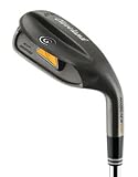 31JjANuJ1gL. SL160  Golf Chippers