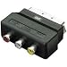 Adapter Scart Audio/Video Stecker 3 X Chinch