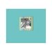 Scrapbook Kit - Teal Stripe (8.5x8.5)