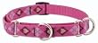 Lupine Medium Martingale Style Dog Collar - Puppy Love 14-20"
