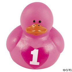 Perfect Rubber Duck Baby's First Birthday Party Favors  One Dozen (12)