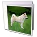Dogs Norwegian Elkhound - Norwegian Buhund - Greeting Cards-12 Greeting Cards with envelopes
