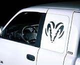 Sidewinders Big Horns Side Window Cover