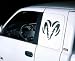 Sidewinders Big Horns Side Window Cover