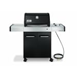 Weber 119810