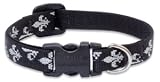 Lupine 1/2 Inch Small Dog Adjustable Collar-Silver Charm Pattern-10 to 16