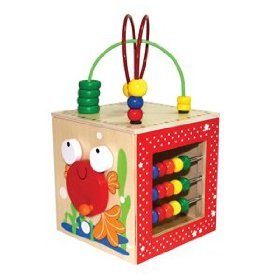Discovery Box by Hape International