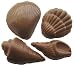 Chocolate Seashells Varied Shapes -1 Dozen, Milk Chocolate