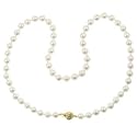 14k Yellow Gold Saltwater Cultured Akoya Pearl AA Grade 6.5-7mm Necklace, 18"