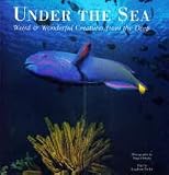 Under the Sea