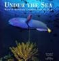 Under the Sea