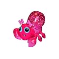 Xia-Xia Turks Hermit Crab