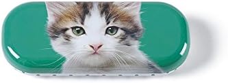 Catseye Kitten On Green Glasses Case
