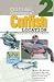 In-Fisherman book CRITICAL CONCEPTS CATFISH 2 Location