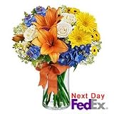 Flowers - Niagara