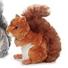Nutsie Brown Squirrel 6.5" by Aurora