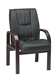 Leather Visitors Chair with Mahogany Finis