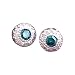 14K .70 CTW Blue & White Diamond Earrings