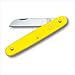 Victorinox Floral Utility Knife Color: Light Blue