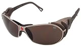 The North Face Summit Chrome Sunglasses Polarized NF8451 0117