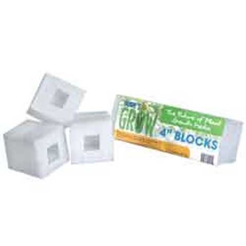 Sure To Grow Blocks- 4