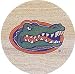 Thirstystone Florida Gators Collegiate Coasters