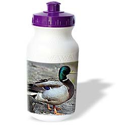 Birds - Duck - Water Bottles by