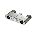 Nikon 4x10 DCF Theaterglas champagner