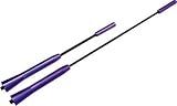 Review Autoleads  / Autoleads Replacement Car Alloy Aerial Mast Rma802 - Blue