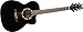 Ibanez A100EBK Ambiance Series Acoustic-Electric Guitar, Black