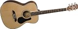 Alvarez AF410 Artist Series Folk Acoustic Guitar - B0028QGIHI