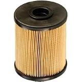 Buy FRAM CS10263 Fuel Filter Element Kit by Fram