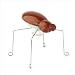 Whalt Jumping Bug_s-2