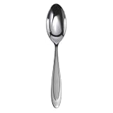 Oneida Aurora Place Spoon