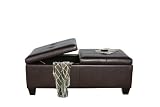 BEST Alfred Brown Leather Storage Ottoman