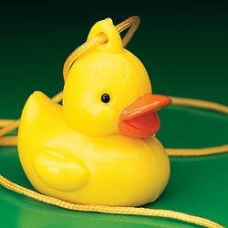 Baby Ducky Necklace <a href='http://www.babyshower7.com/wp-content/plugins/wp-affiliate-pro.php?id=1' onmouseover=