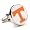 Tennessee Volunteers