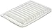 Fram CA10190 Rigid Panel Air Filter