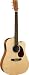 Martin DCX1KE Dreadnought Cutaway Acoustic-Electric Guitar