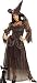 Bewitchingly Good Witch Adult Costume Adult (Standard One-Size)