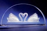 Swans in glass