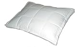 Blue Ridge Home Down Topper Queen Pillow