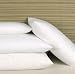 Cloud Nine Comforts Feathercloud Standard Pillow Set (2 Pillows)
