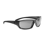 Dragon Alliance Chrome Sunglasses (MatteStealth with Grey Lens)