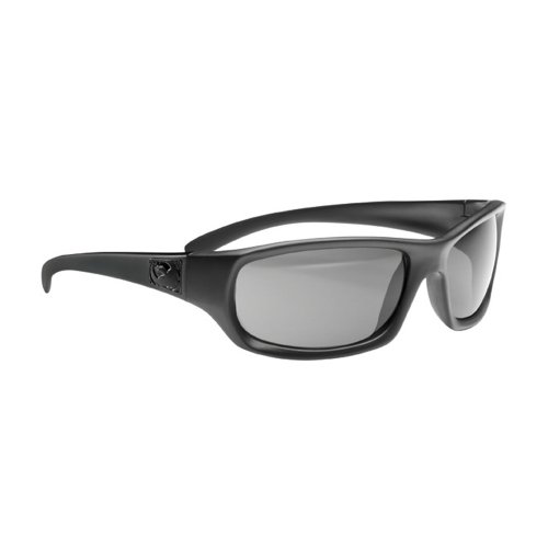 Dragon Alliance Chrome Sunglasses Grey Lens)