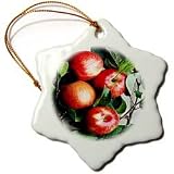 Fruit Food - Apple - Ornaments