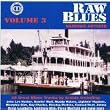 Raw Blues Vol. 3