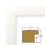 8.5x11 Picture / Poster Frame, Smooth...