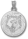 Minnesota Timberwolves 3/4
